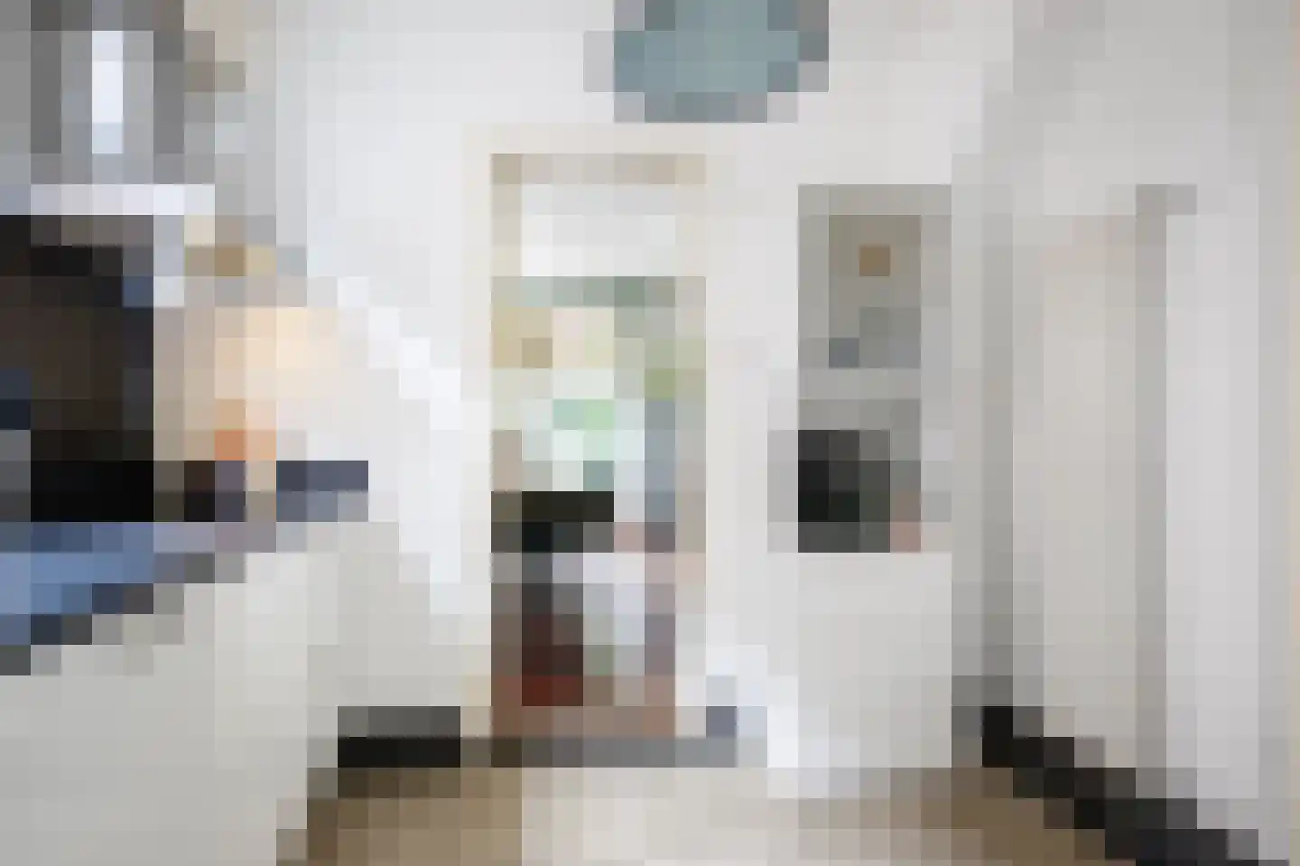 Lange Stoep 6 Lekkerkerk foto 3