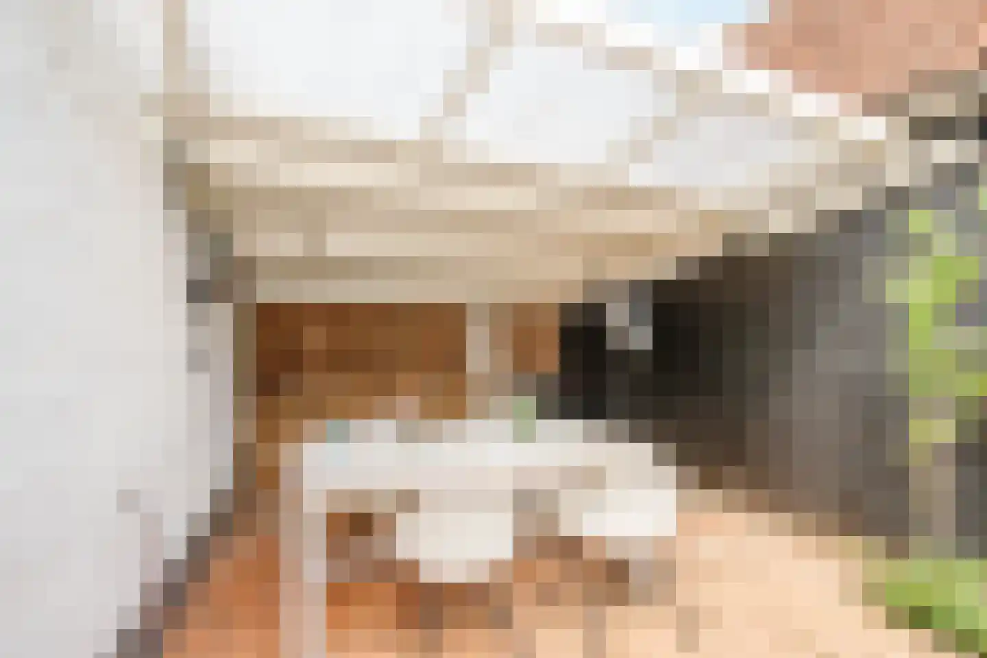 Lange Stoep 6 Lekkerkerk thumbnail 31