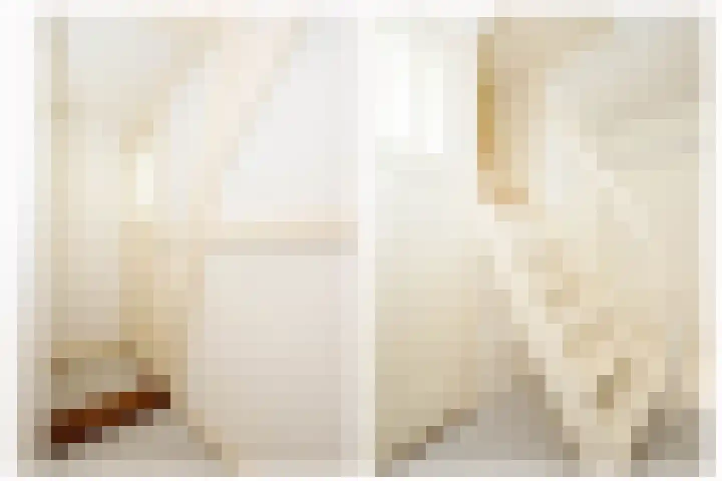 Lange Stoep 6 Lekkerkerk thumbnail 31