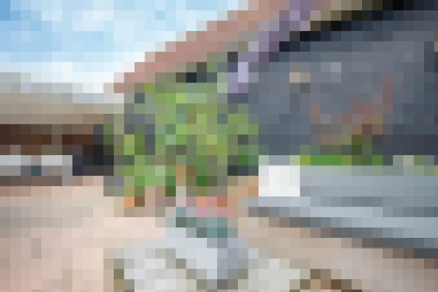 Lange Stoep 6 Lekkerkerk thumbnail 35