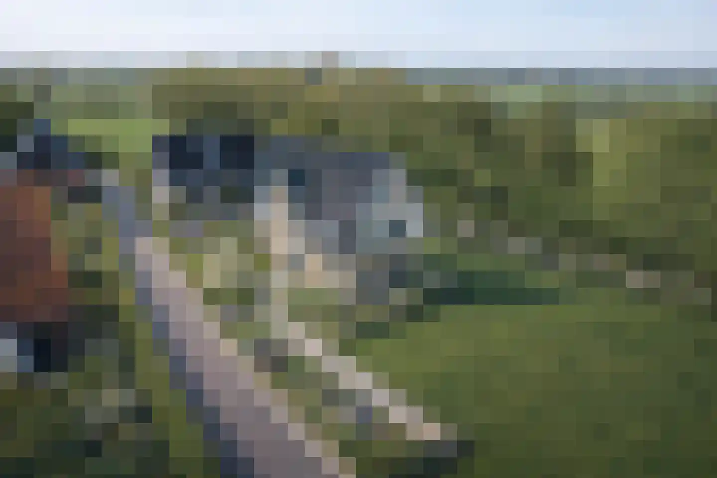 Lange Streek 11 Achterveld thumbnail 35