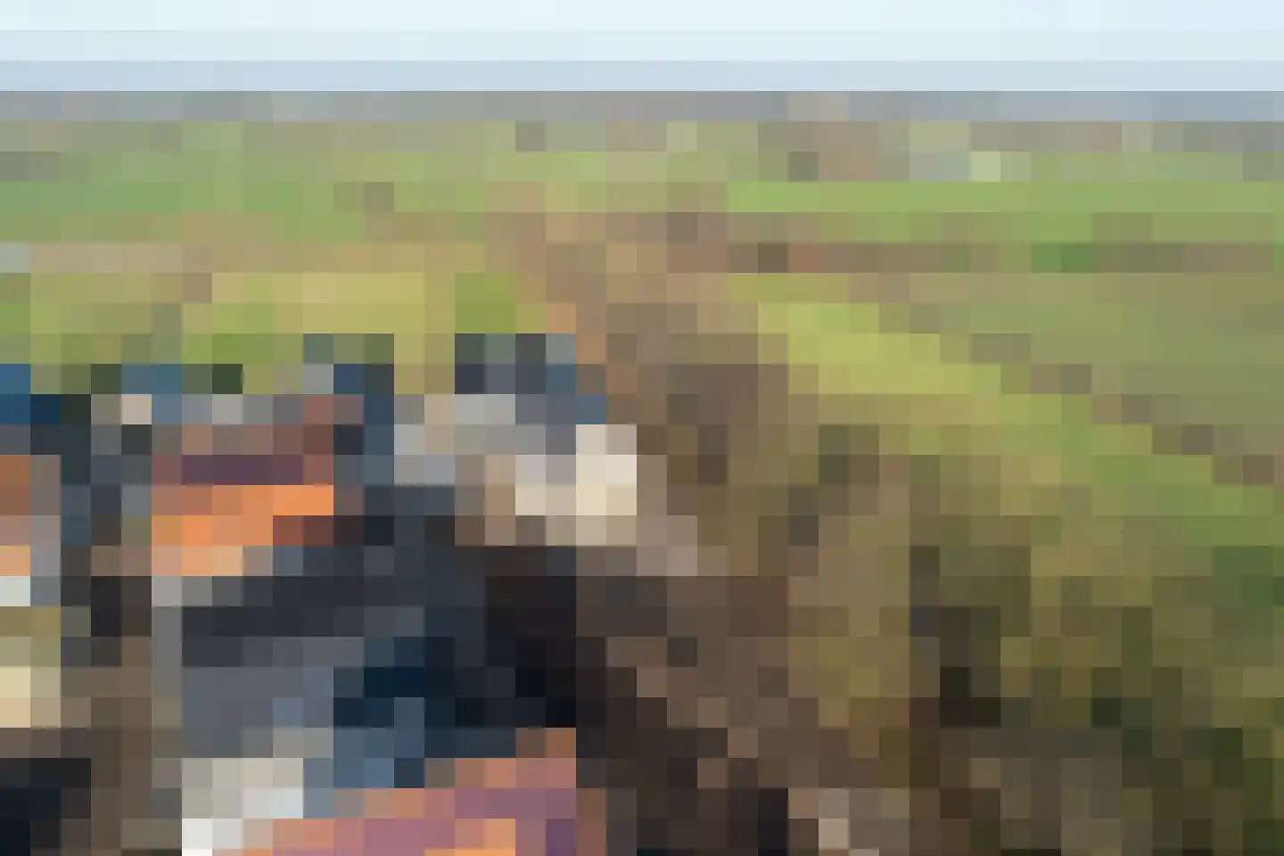 Lange Streek 11 Achterveld thumbnail 36