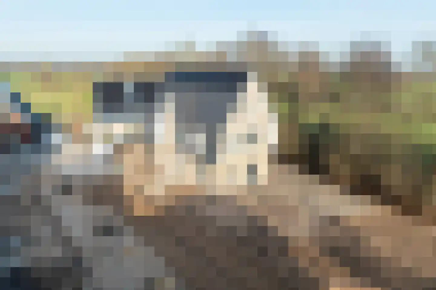 Lange Streek 11 Achterveld thumbnail 37