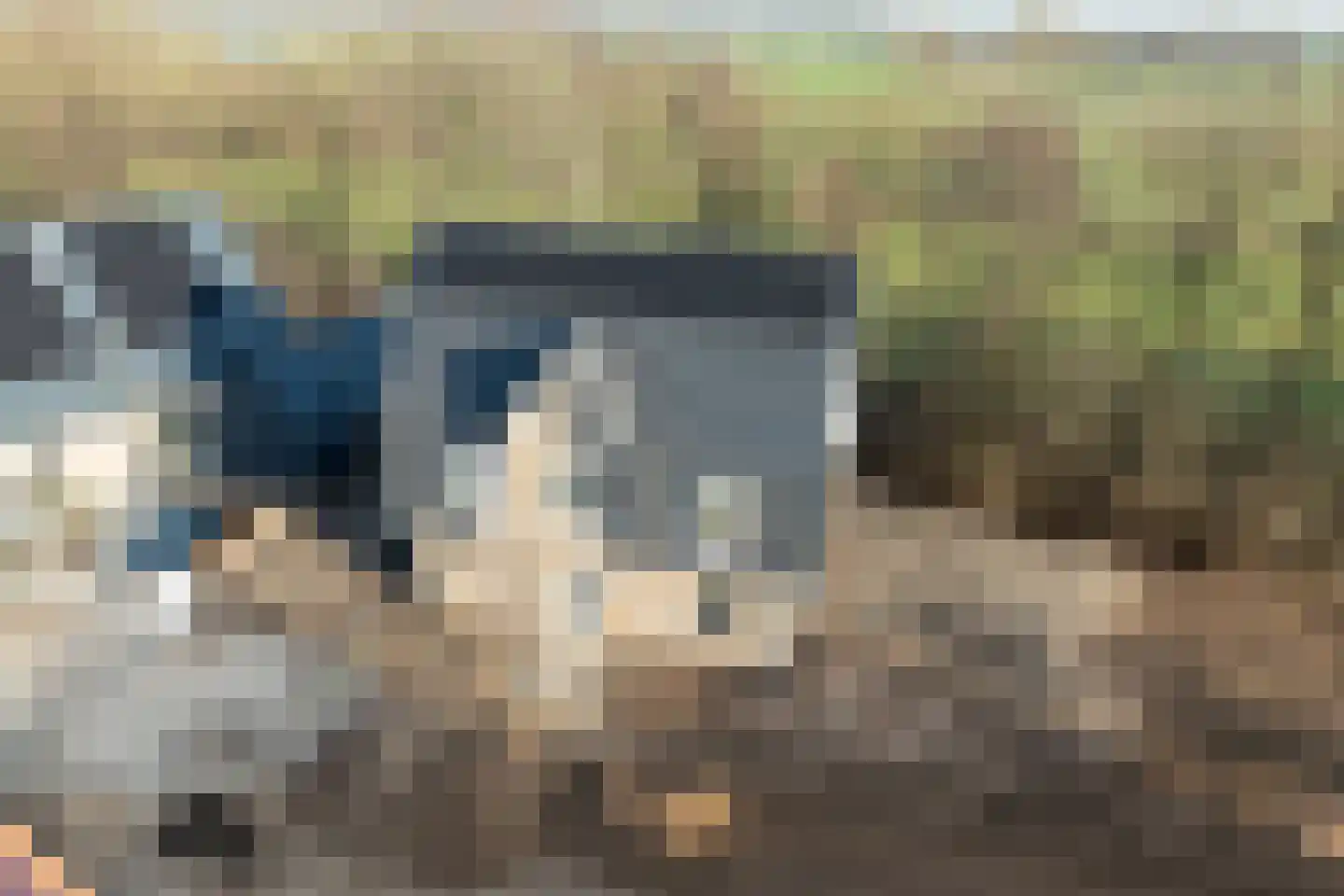 Lange Streek 11 Achterveld thumbnail 38