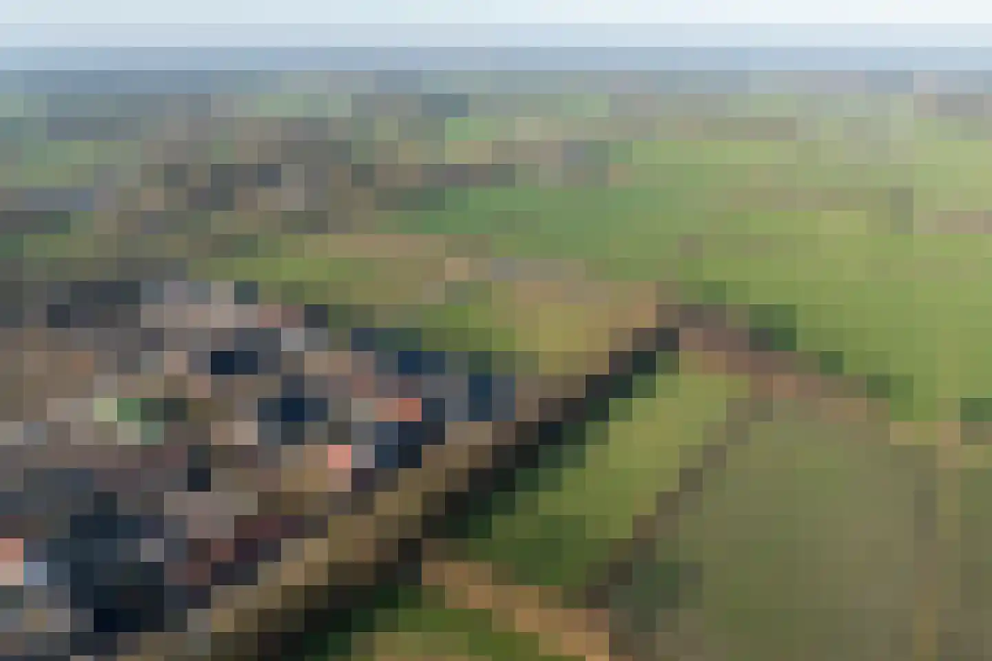 Lange Streek 11 Achterveld thumbnail 39