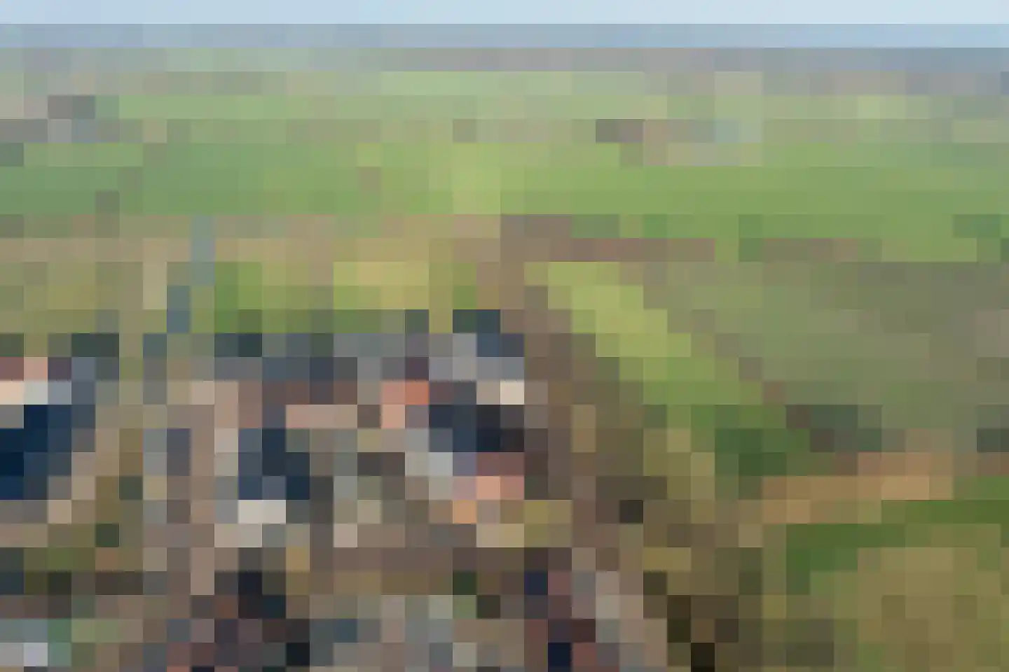 Lange Streek 11 Achterveld thumbnail 41