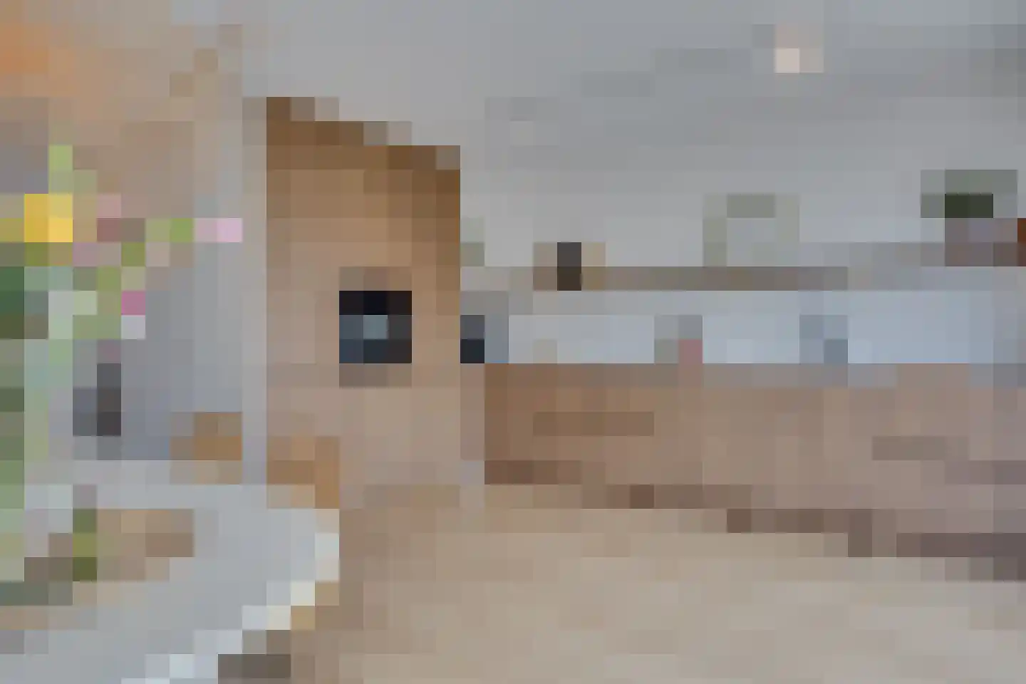 Lange Streek 17 Achterveld thumbnail 11