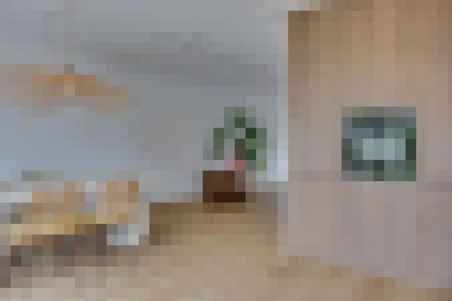 Lange Streek 17 Achterveld thumbnail 13