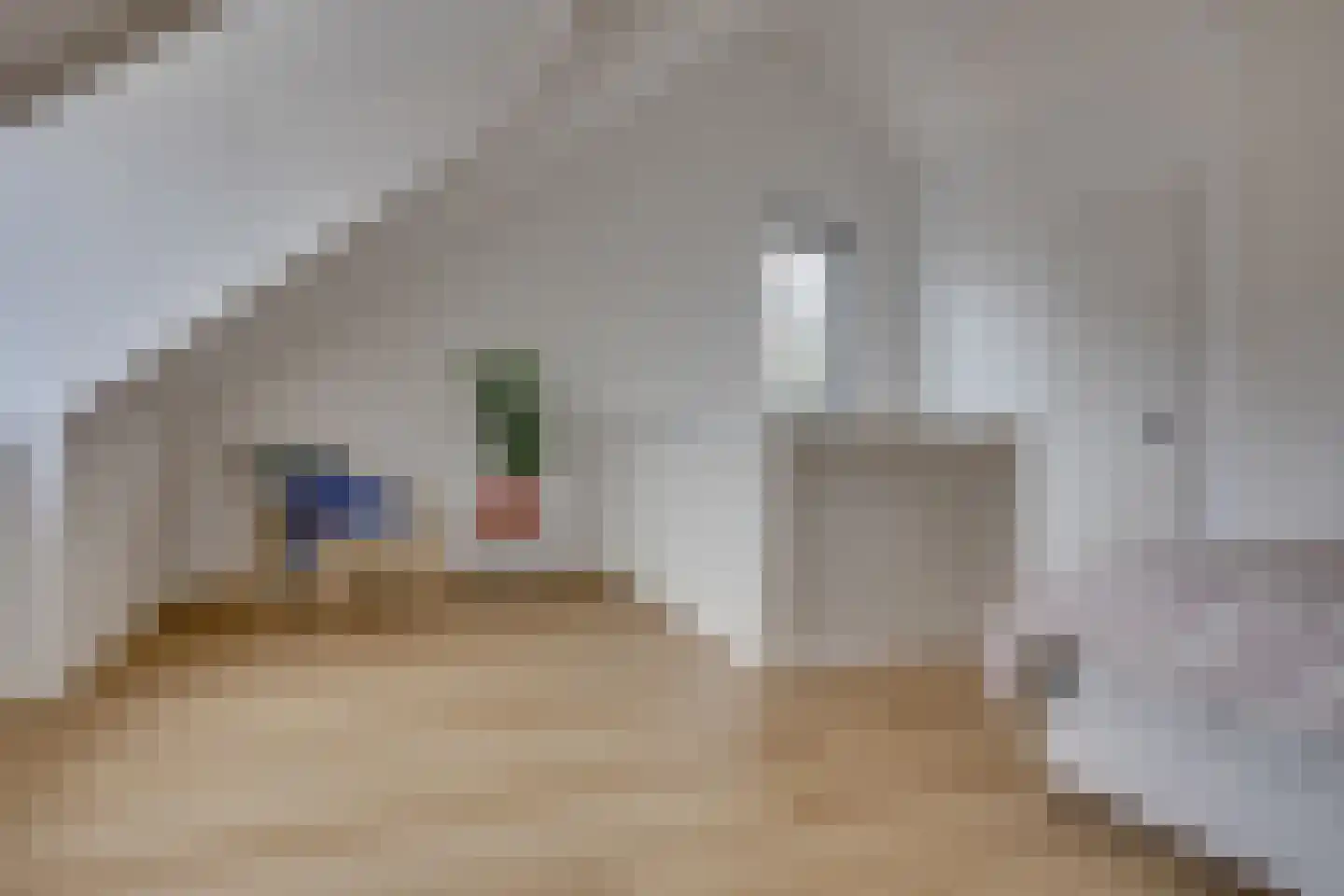 Lange Streek 17 Achterveld thumbnail 29