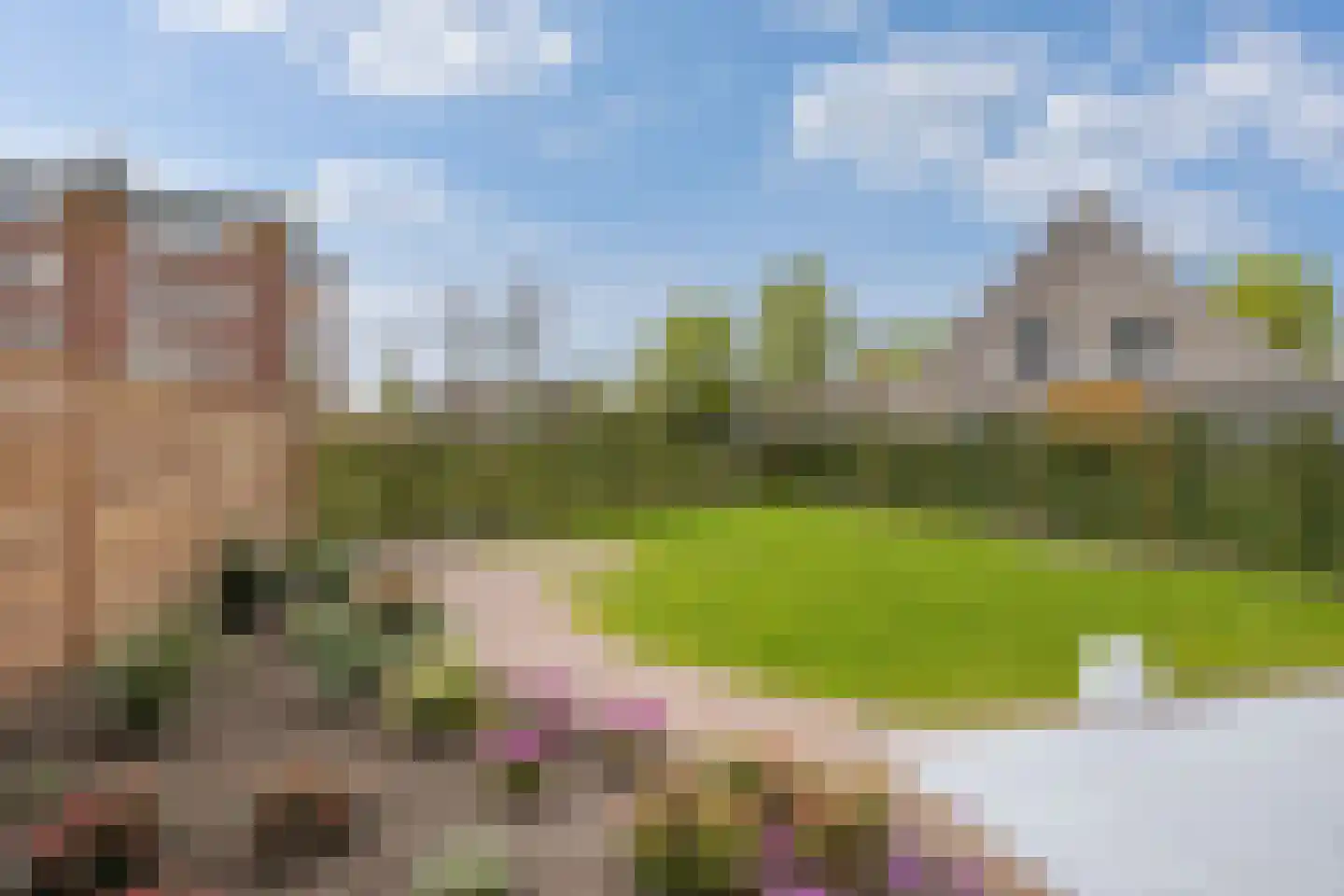 Lange Streek 17 Achterveld thumbnail 34