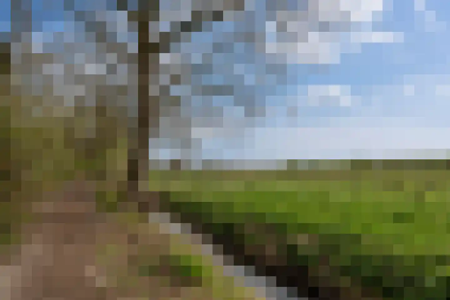 Lange Streek 17 Achterveld thumbnail 37