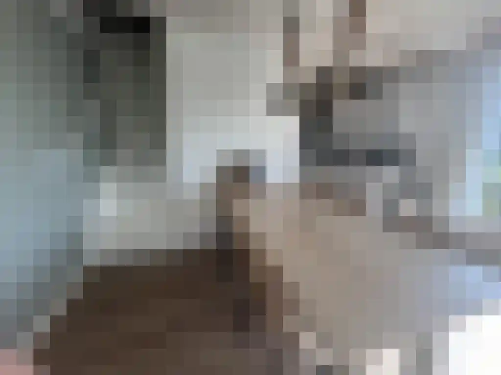 Lange Strinkweg 2 026 Cadzand thumbnail 7