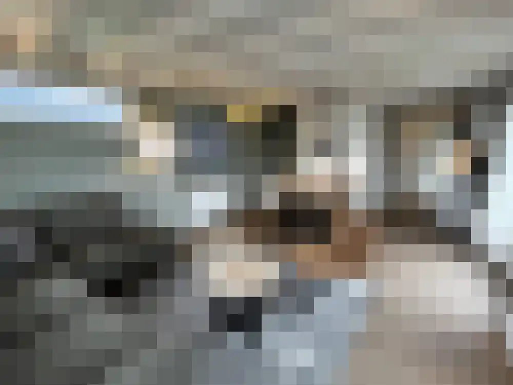Lange Strinkweg 2 036 Cadzand thumbnail 4