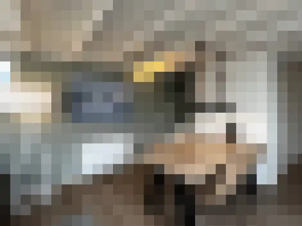 Lange Strinkweg 2 036 Cadzand thumbnail 5