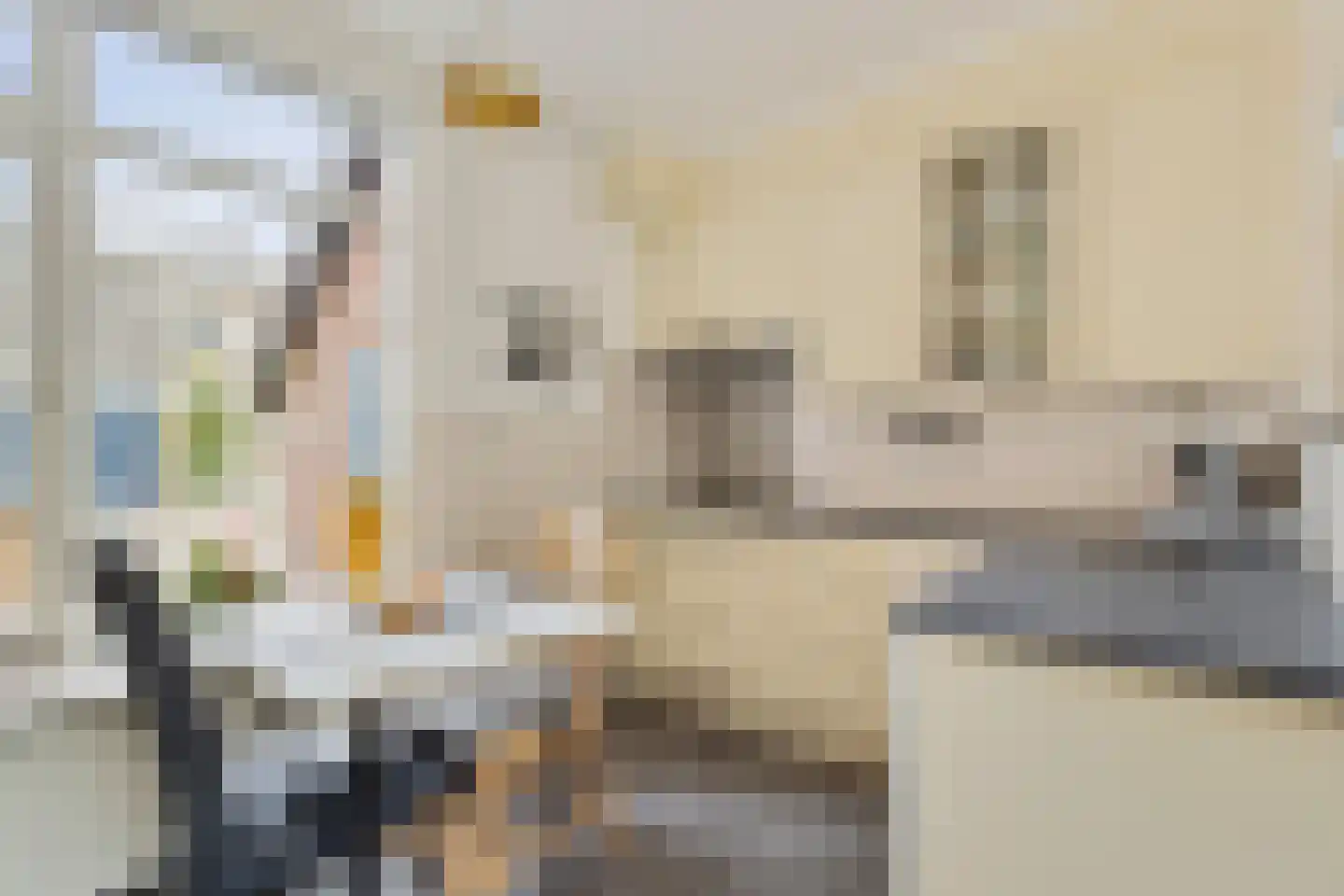 Lange Tiende 18 Rijsbergen thumbnail 11