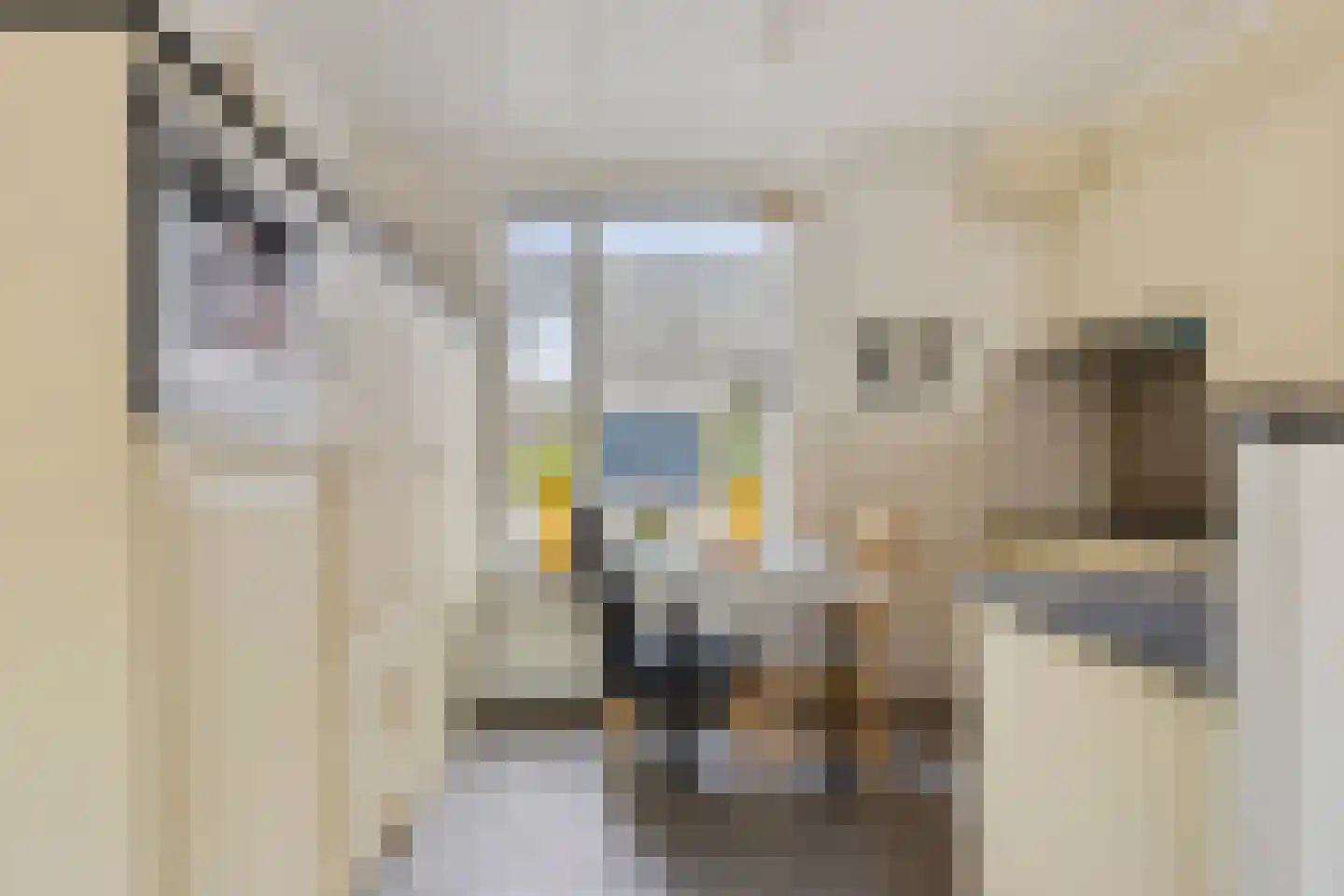 Lange Tiende 18 Rijsbergen thumbnail 12