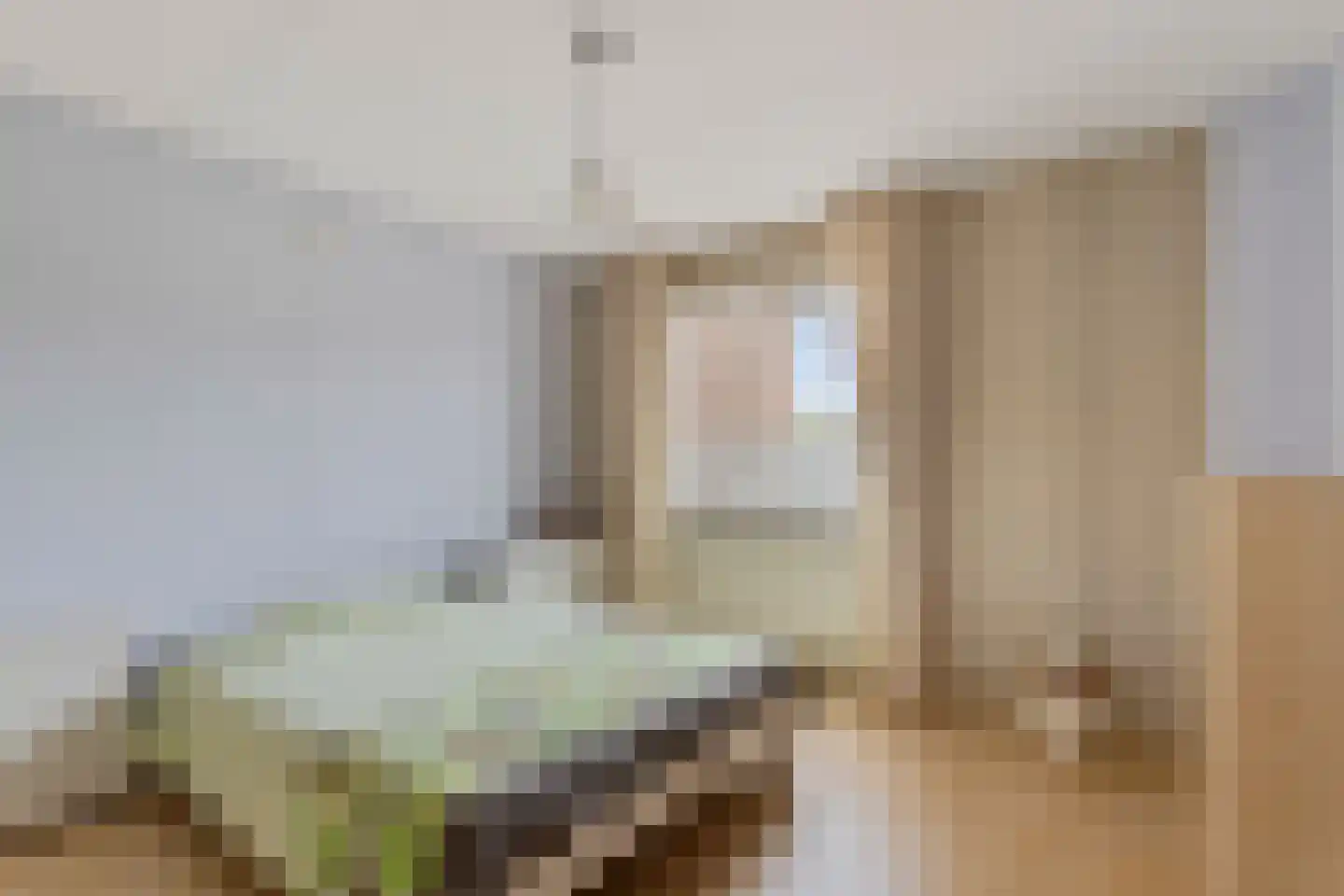 Lange Tiende 18 Rijsbergen thumbnail 13
