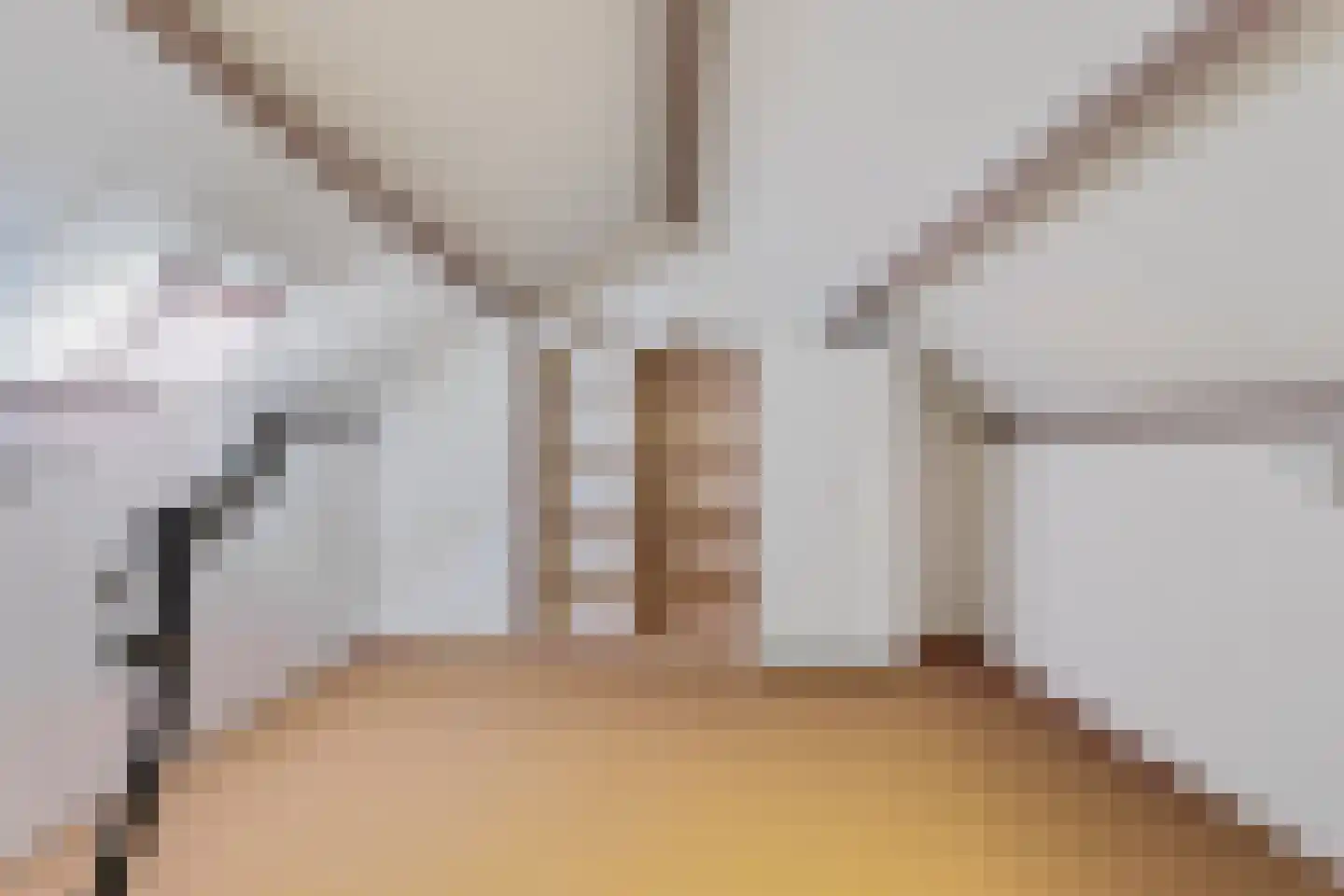 Lange Tiende 18 Rijsbergen thumbnail 20