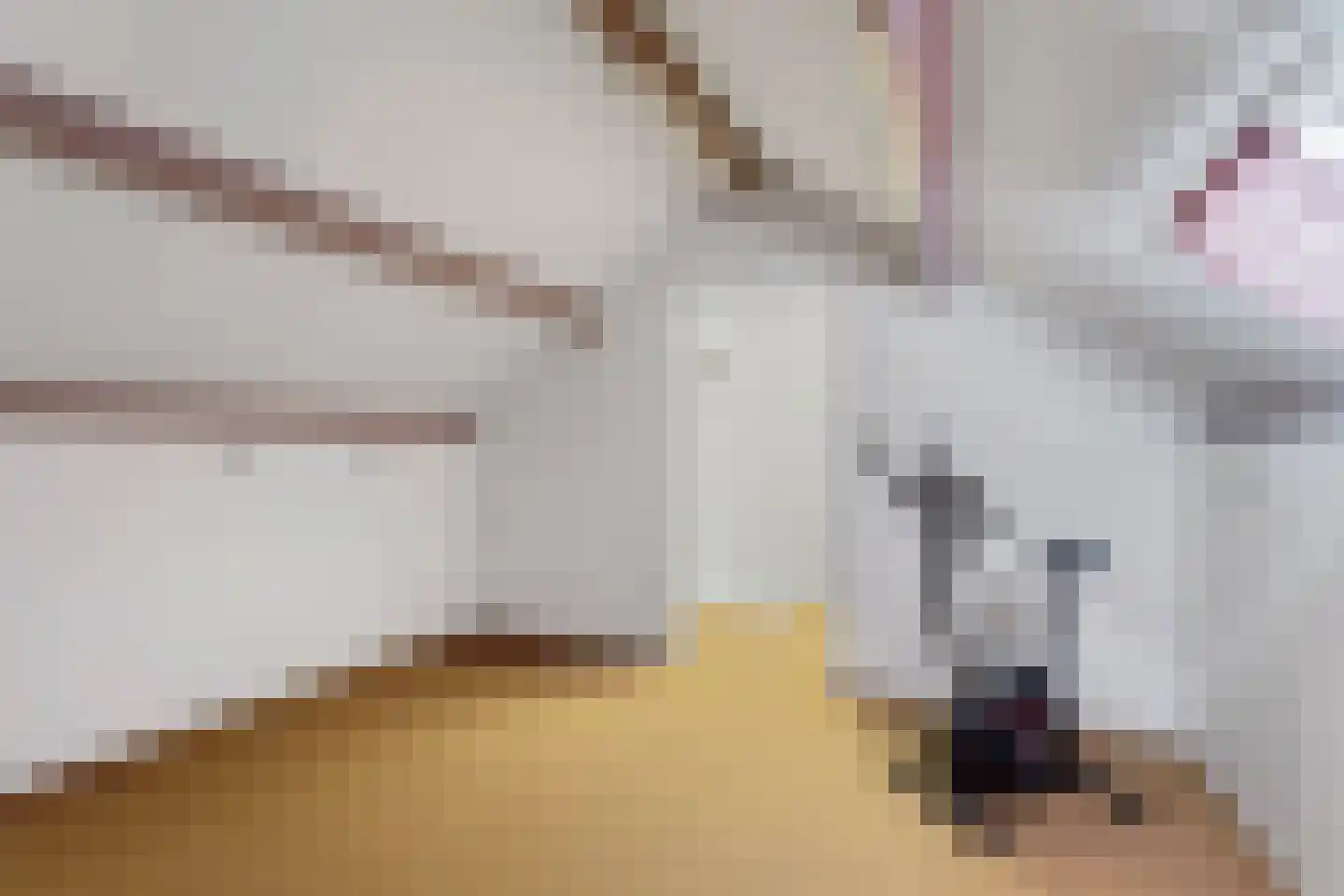 Lange Tiende 18 Rijsbergen thumbnail 21
