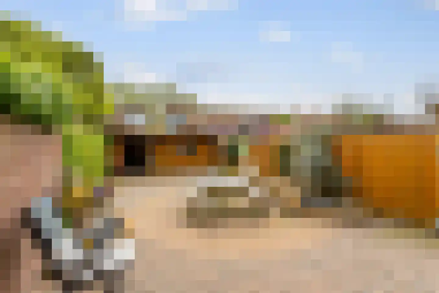 Lange Tiende 18 Rijsbergen thumbnail 4