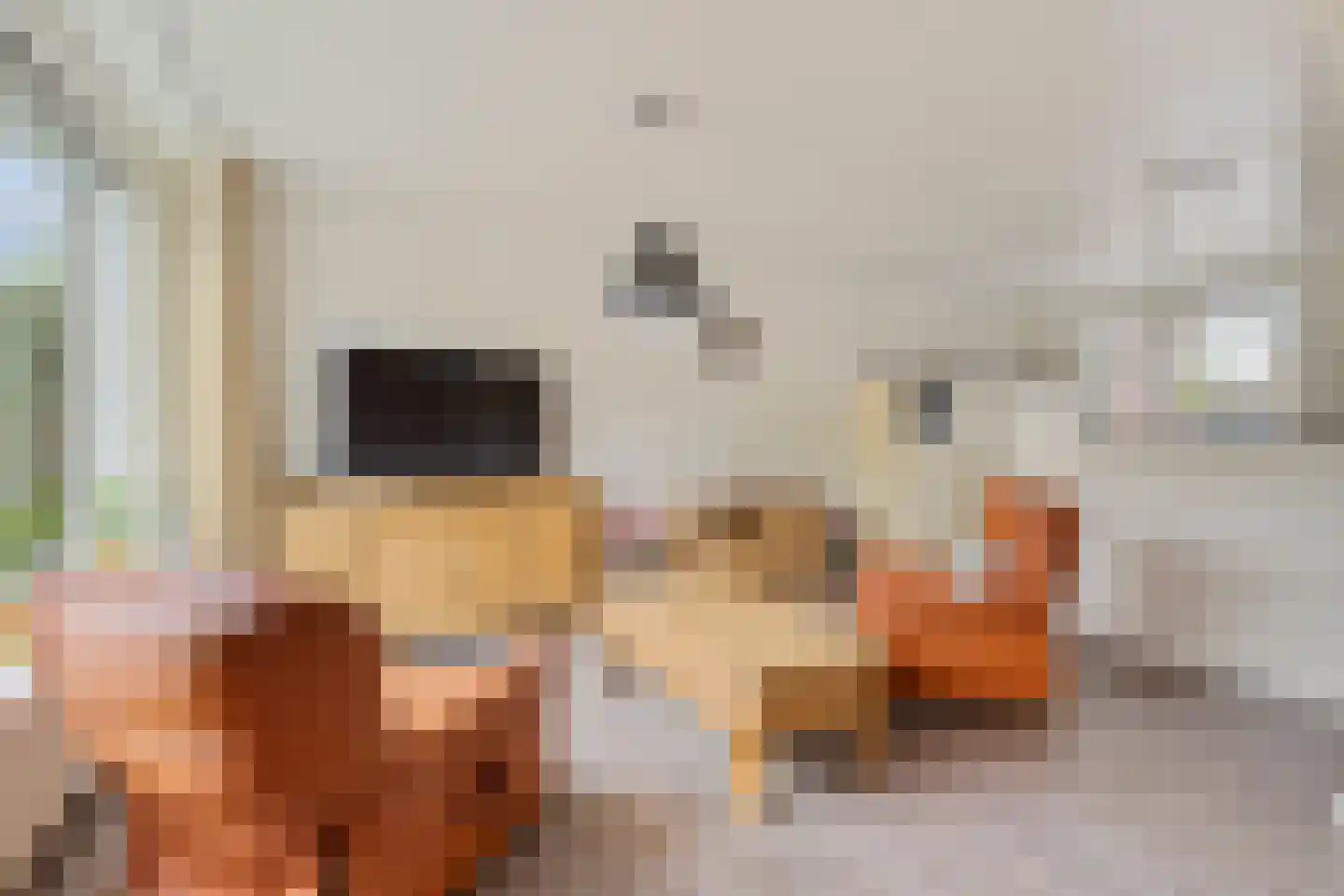 Lange Tiende 18 Rijsbergen thumbnail 8