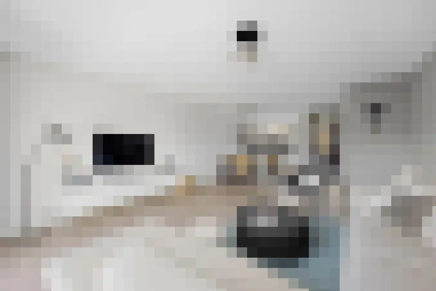 Lange Tiendweg 40 Papendrecht thumbnail 11