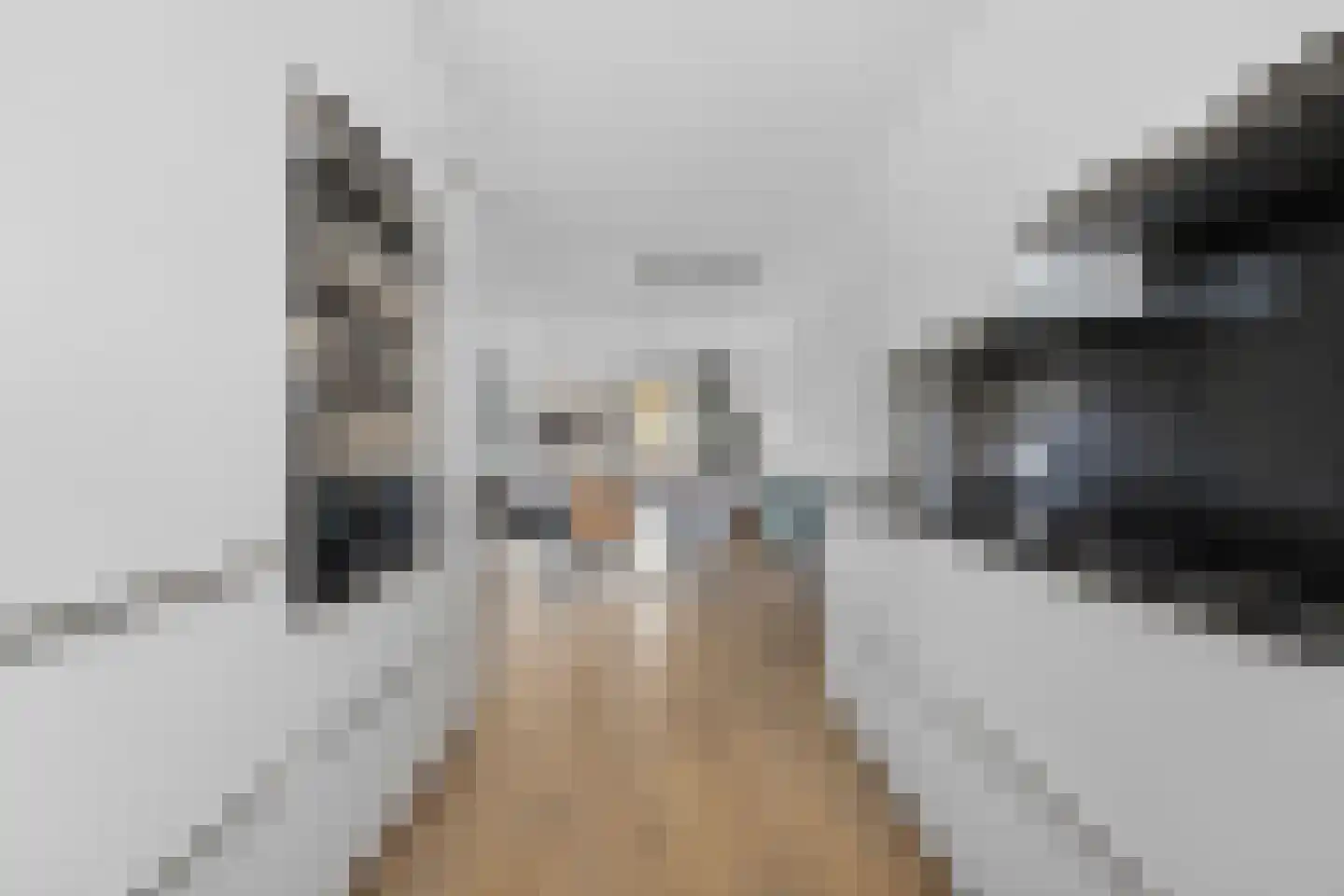 Lange Tiendweg 40 Papendrecht thumbnail 14