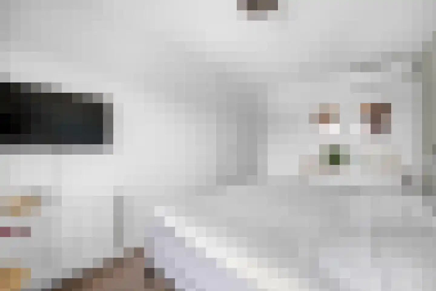 Lange Tiendweg 40 Papendrecht thumbnail 19