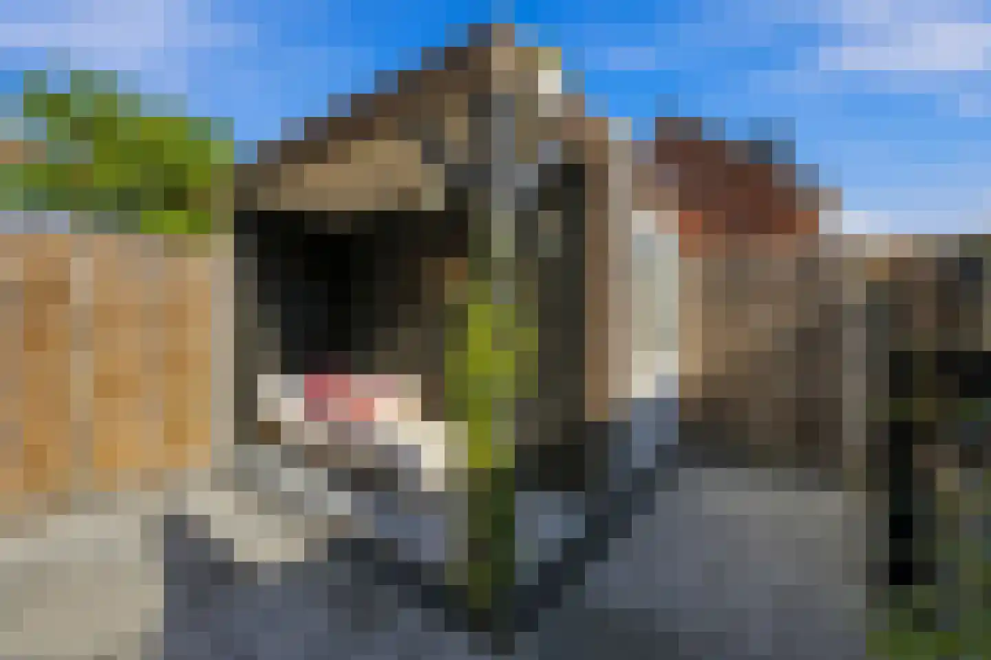 Lange Tiendweg 40 Papendrecht thumbnail 33