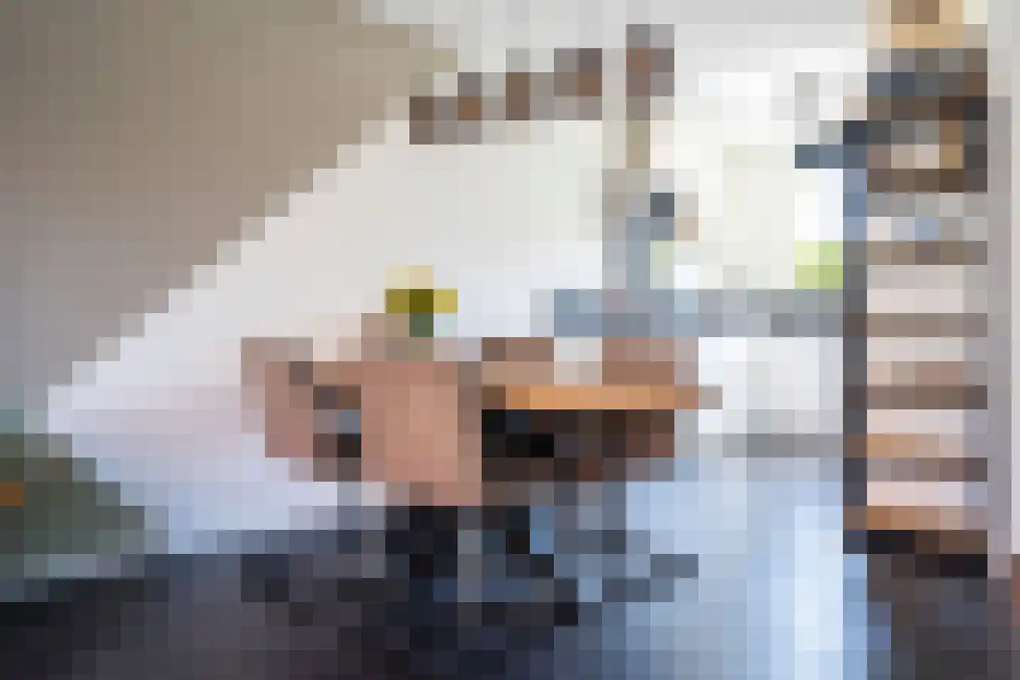 Lange Tiendweg 58 Papendrecht thumbnail 10