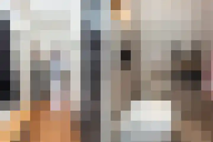 Lange Tiendweg 91 Papendrecht thumbnail 4