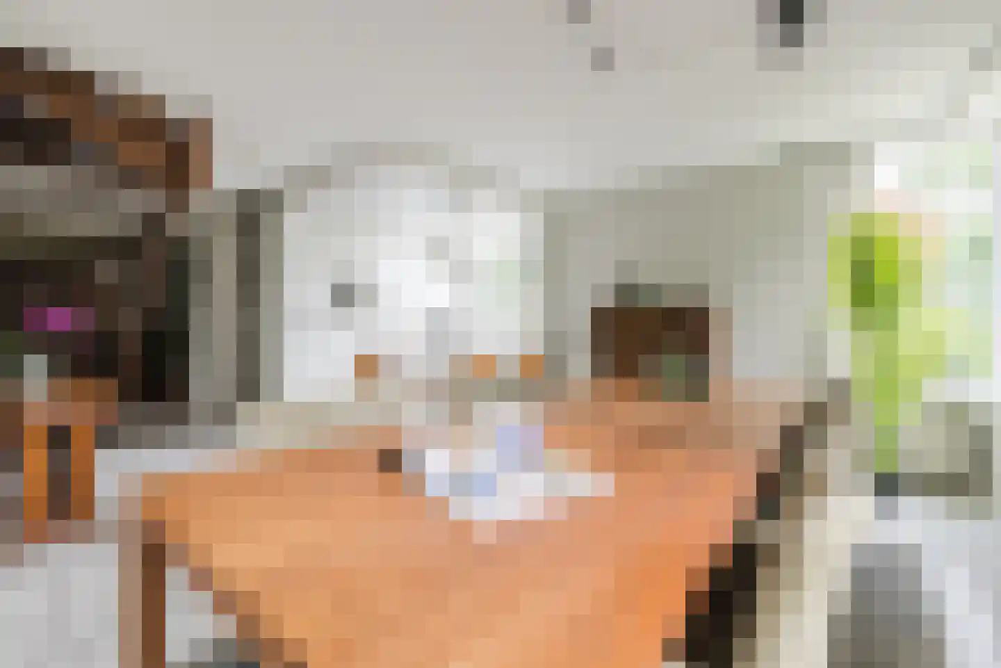 Lange Trekken 18 Bladel thumbnail 15