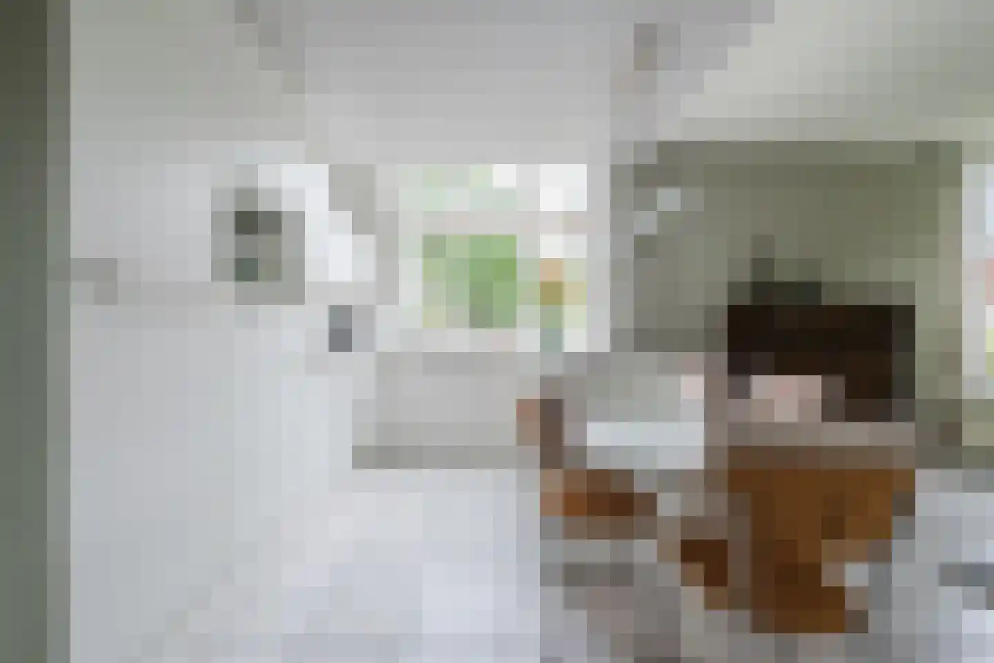 Lange Trekken 18 Bladel thumbnail 16