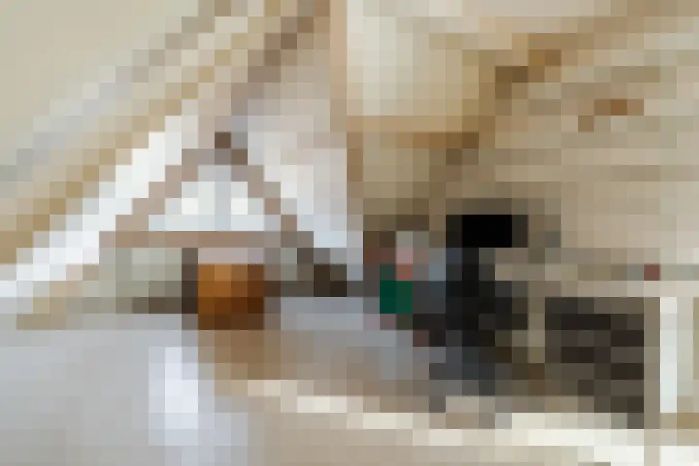 Lange Trekken 18 Bladel thumbnail 30