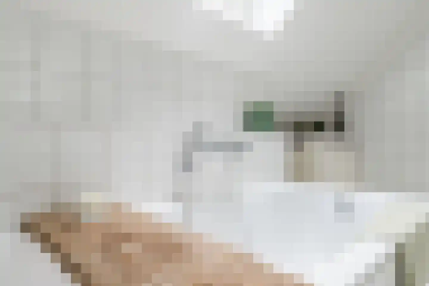Lange Trekken 18 Bladel thumbnail 33
