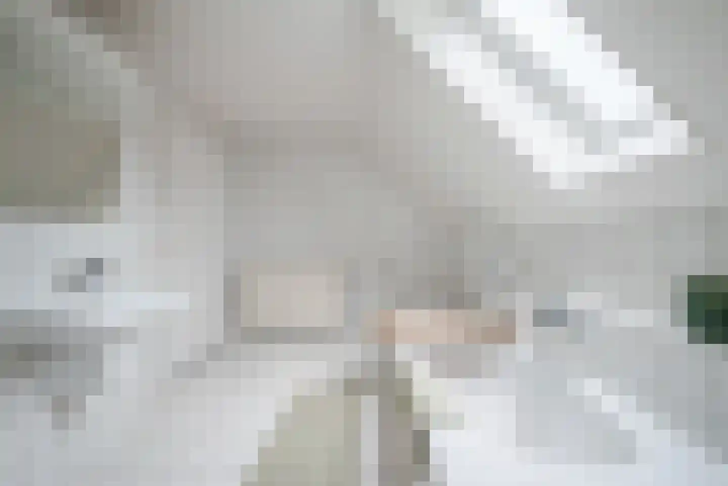 Lange Trekken 18 Bladel thumbnail 34