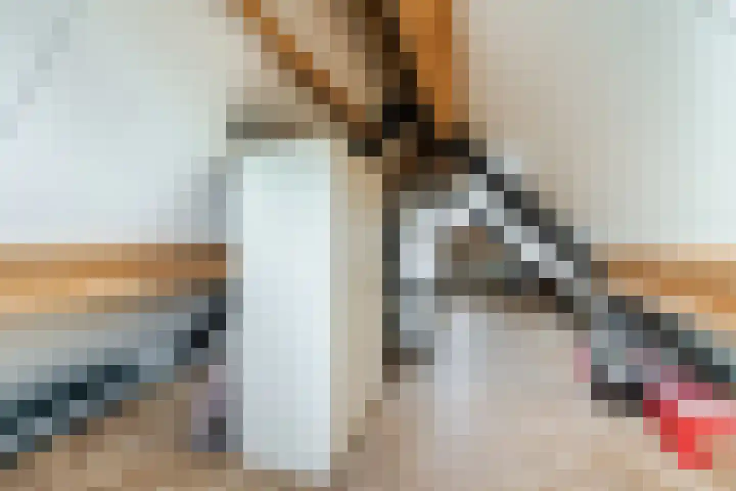 Lange Trekken 18 Bladel thumbnail 35
