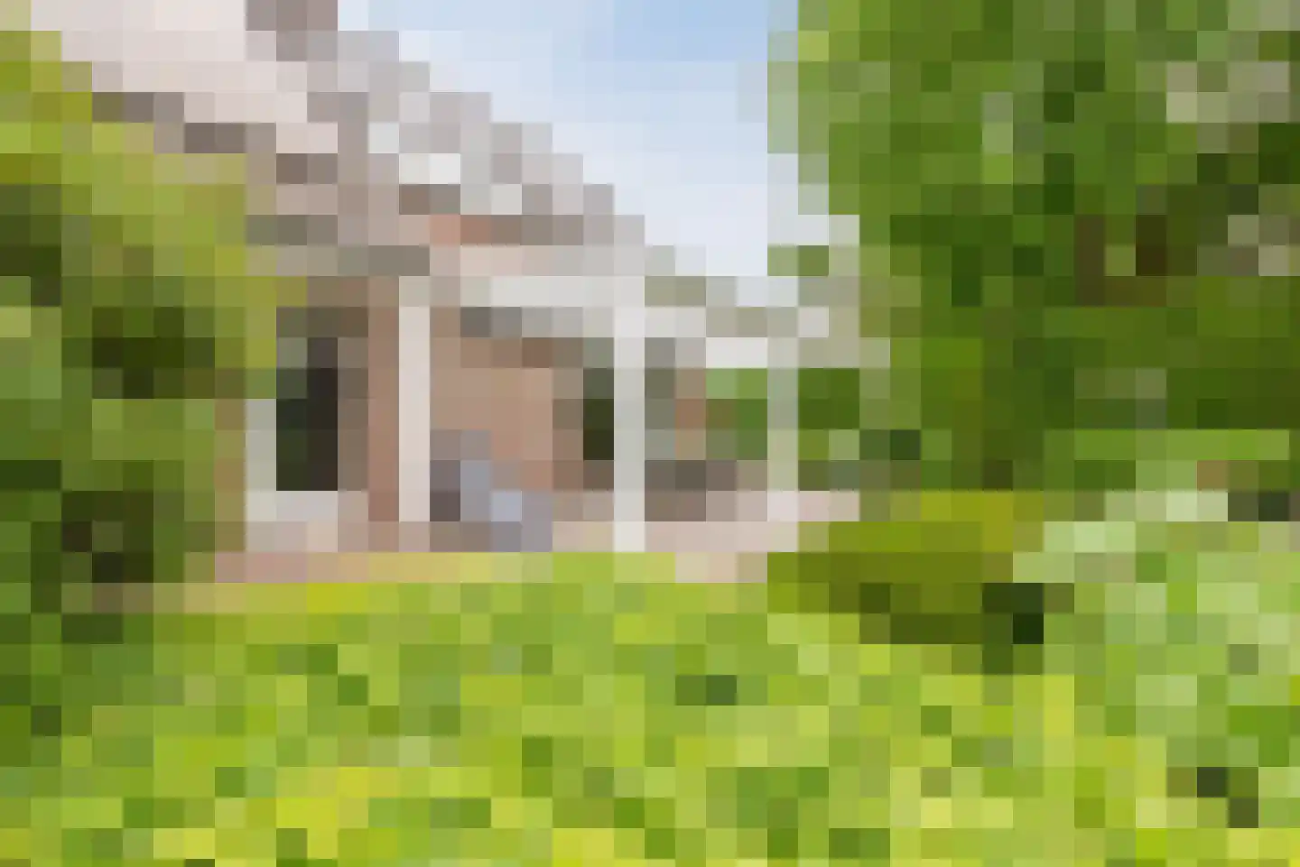 Lange Trekken 18 Bladel thumbnail 39