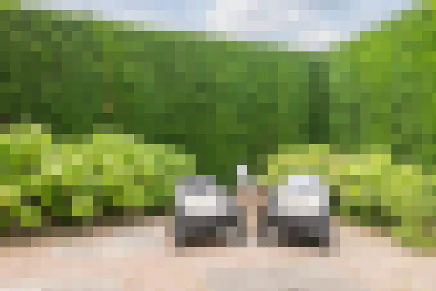 Lange Trekken 18 Bladel thumbnail 44