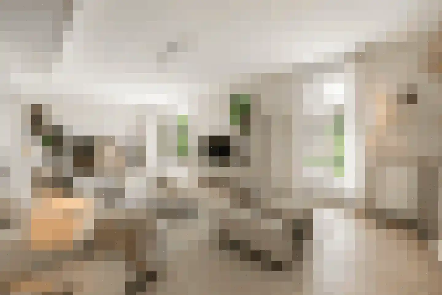 Lange Trekken 18 Bladel thumbnail 7