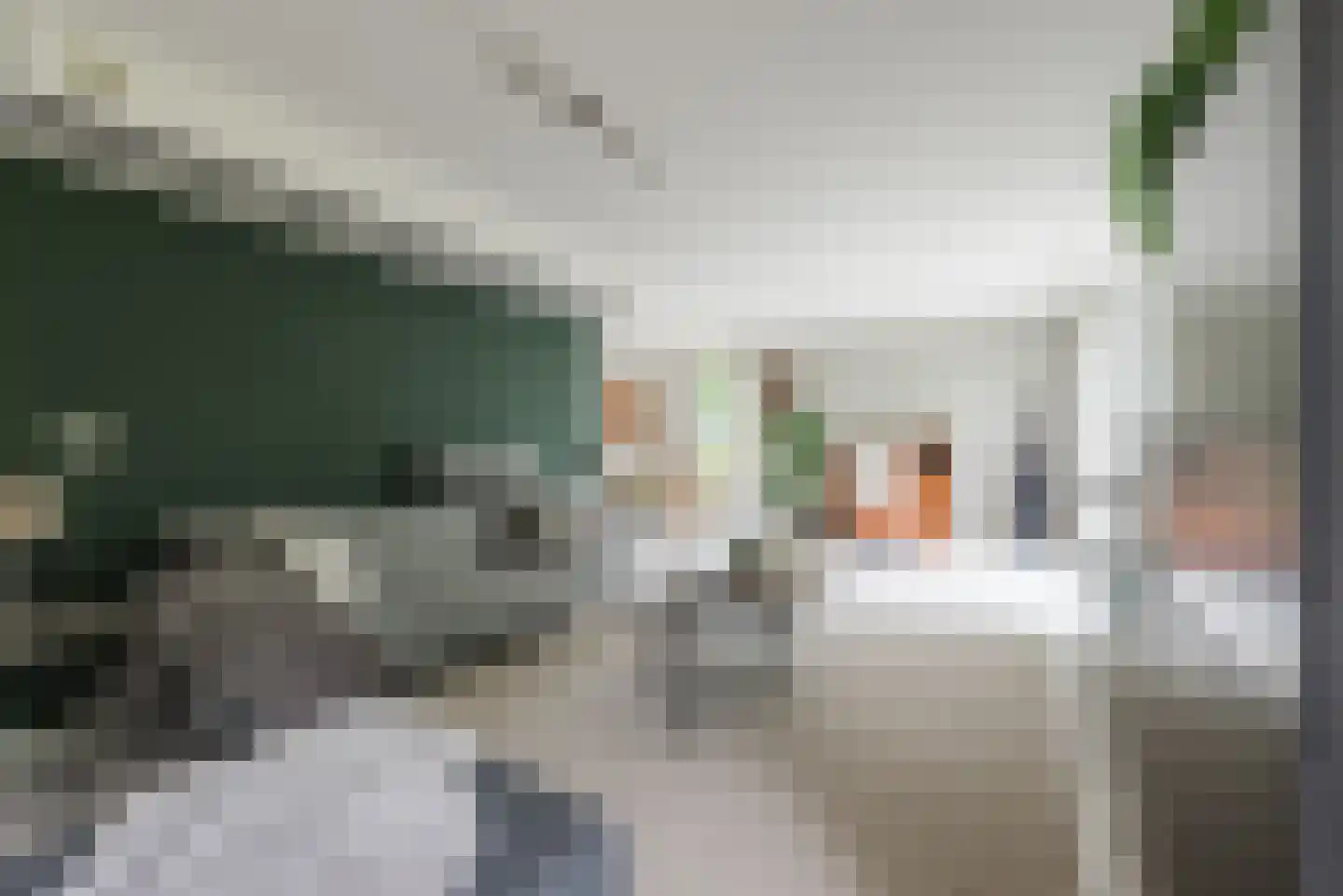 Lange Trekken 18 Bladel thumbnail 8