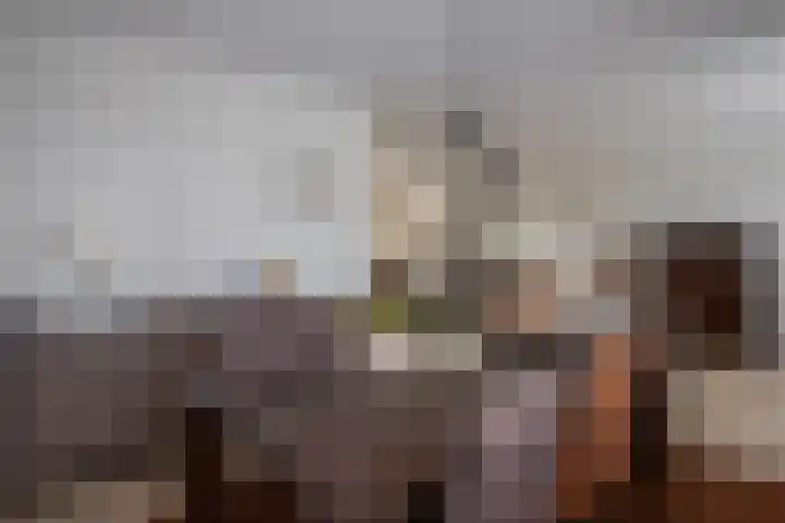 Lange Trekken 28 Bladel thumbnail 10