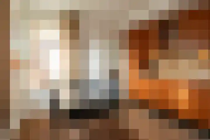 Lange Trekken 28 Bladel thumbnail 13