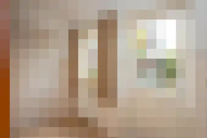 Lange Trekken 28 Bladel thumbnail 14