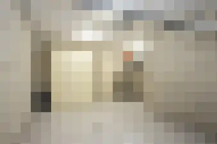 Lange Trekken 28 Bladel thumbnail 15