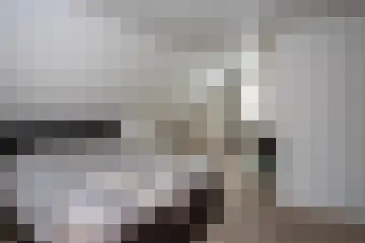 Lange Trekken 28 Bladel thumbnail 16