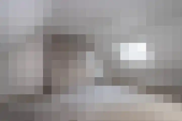 Lange Trekken 28 Bladel thumbnail 20