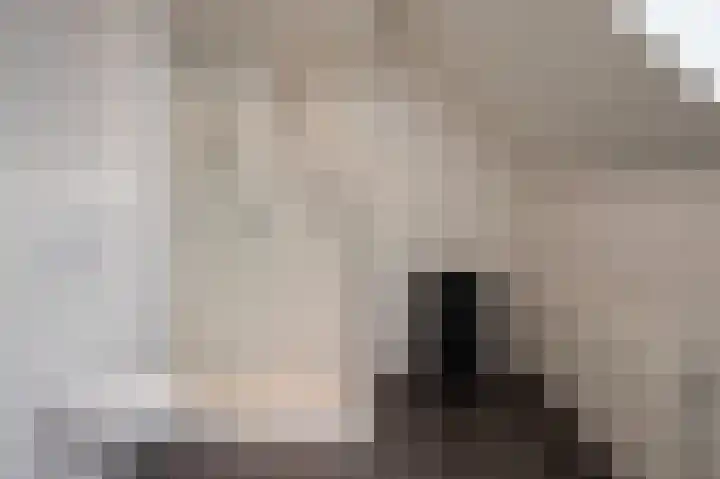 Lange Trekken 28 Bladel thumbnail 22