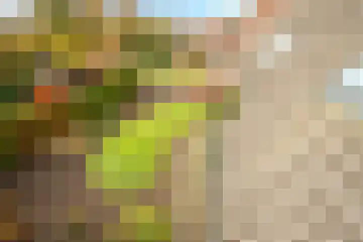 Lange Trekken 28 Bladel thumbnail 25