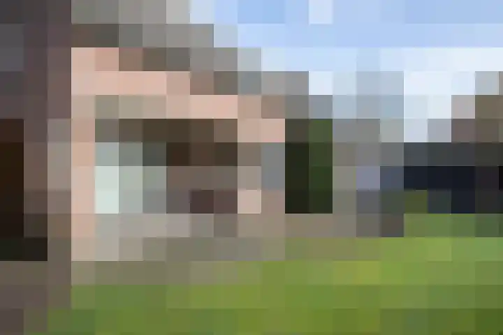 Lange Trekken 28 Bladel thumbnail 26